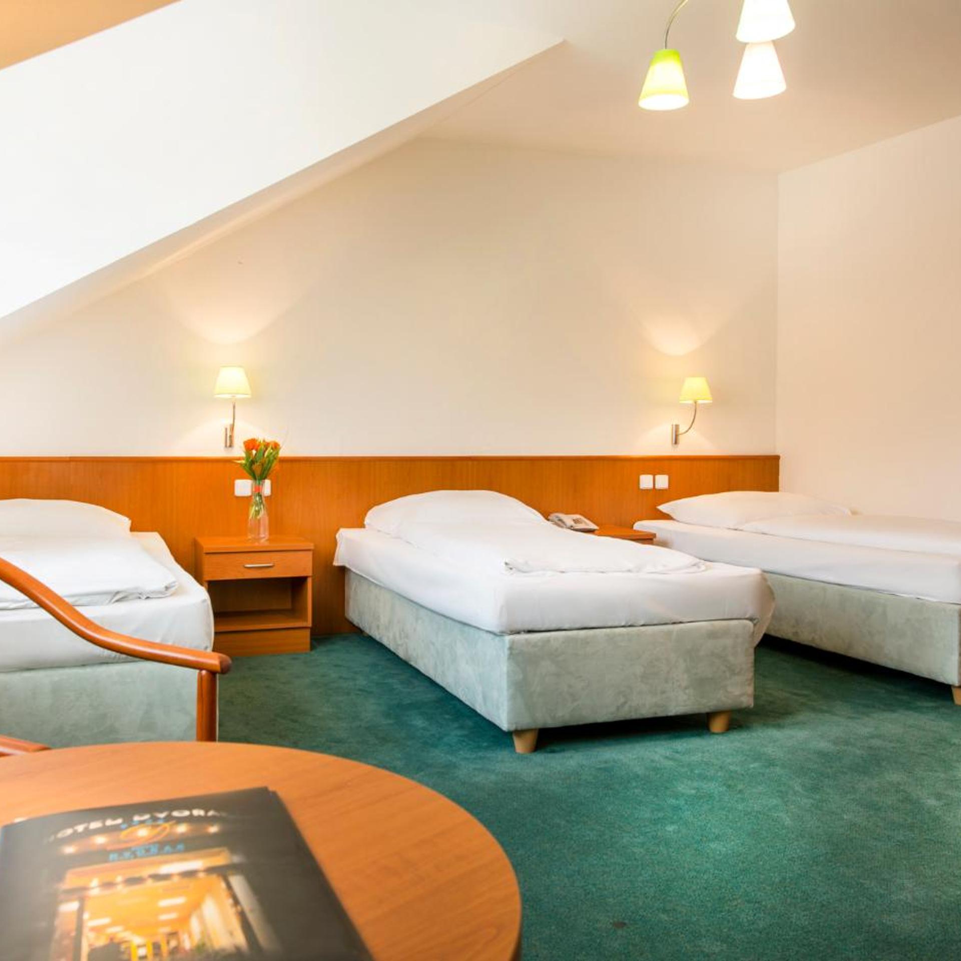 Hotel Dvorak 24/66