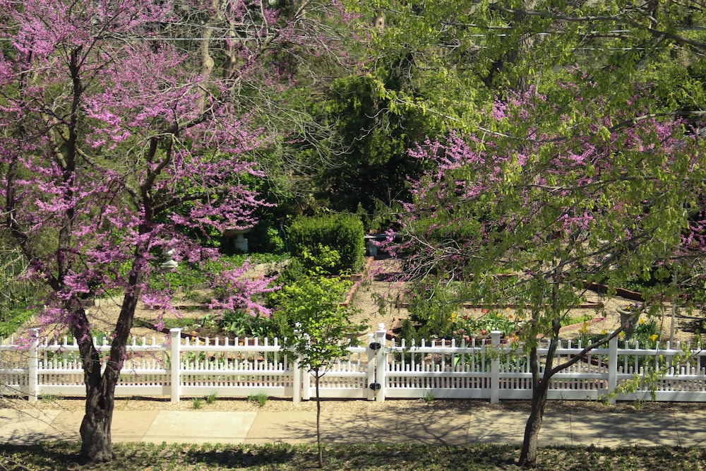 Moore House Bed And Breakfast 27/30
