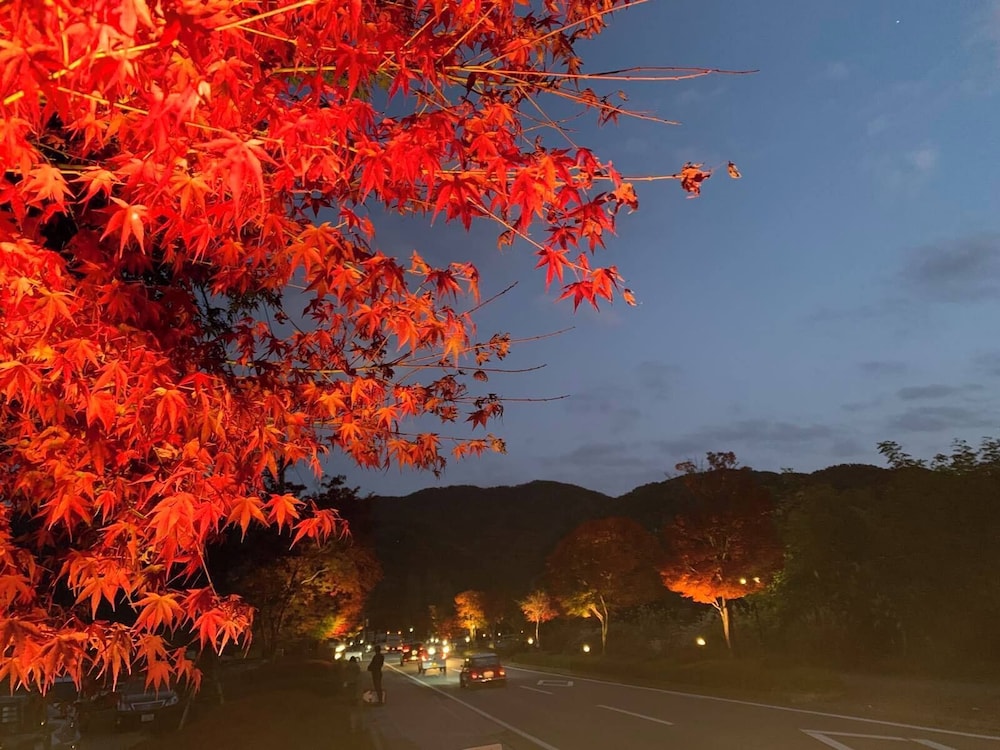 Fuji Gran Villa - Toki - 43/50