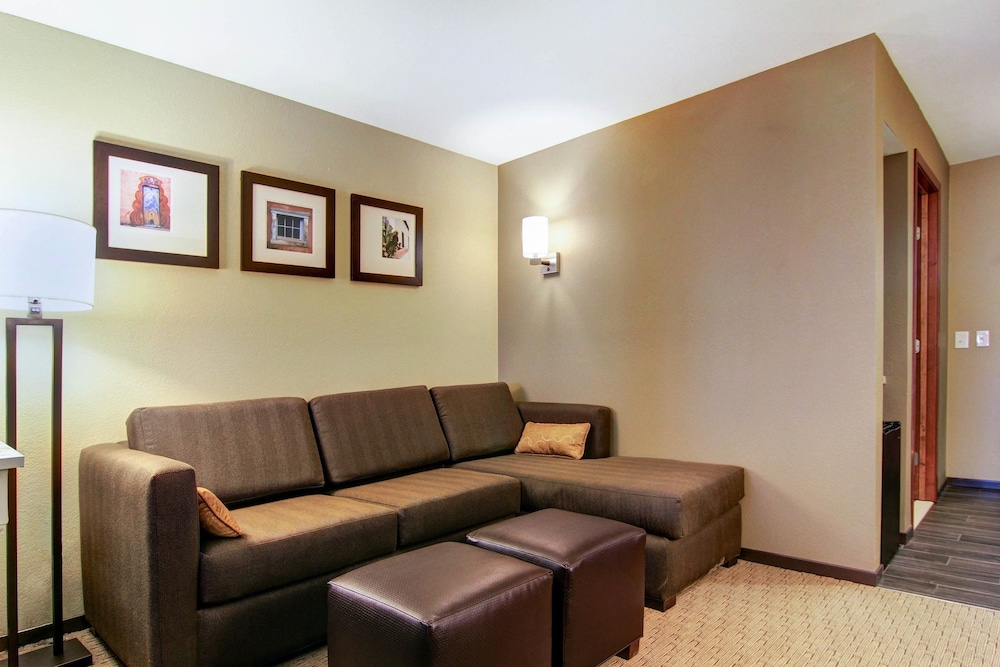 Comfort Suites Carlsbad 21/48