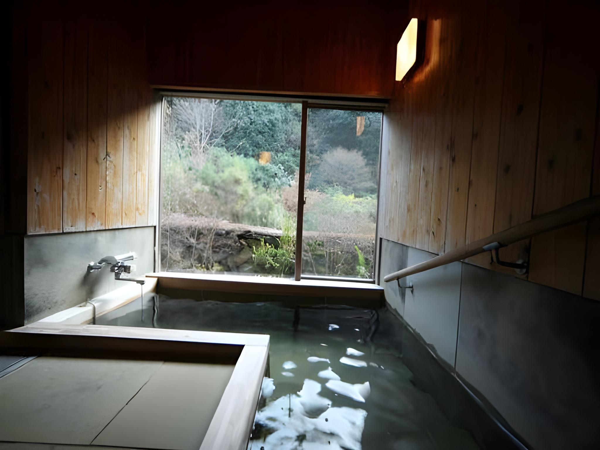 Ureshino Onsen Ryokan Shiibasanso 26/39