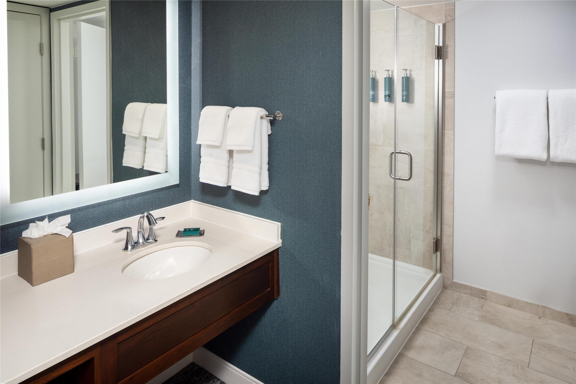 Room, King Bed, Courtyard View, Balcony, Doubletree By Hilton Hotel Boston-Andover 5/5