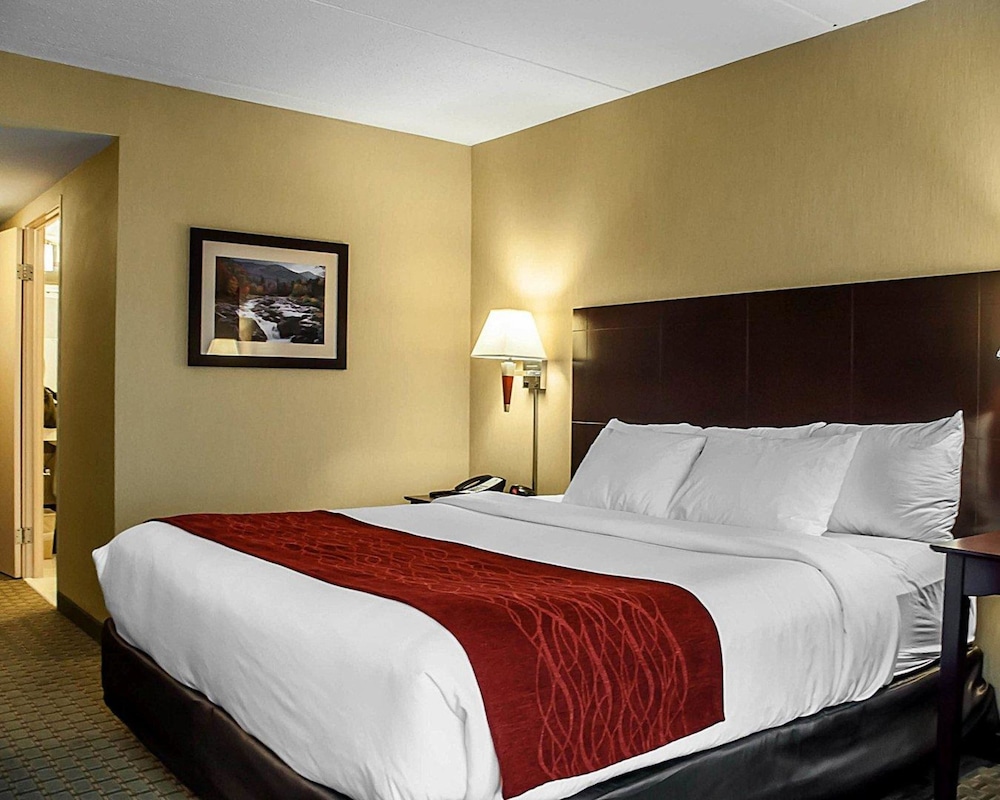 Comfort Inn & Suites Watertown - 1000 Islands 16/54