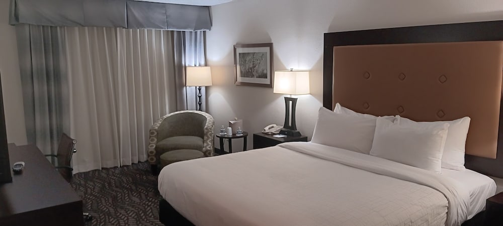 Room, King Bed, Executive Level