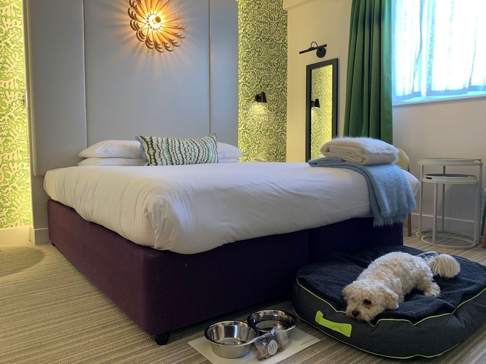 EXECUTIVE, DOUBLE BED, PET FRIENDLY