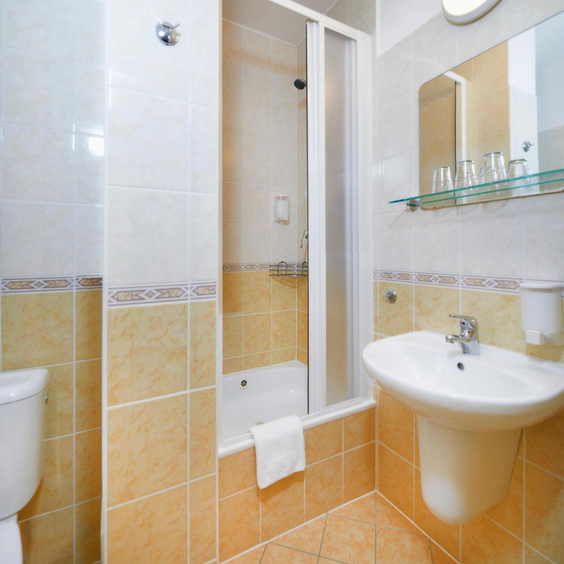 Economy, King Bed, Pool Access، Wellness Hotel Svornost 4/4
