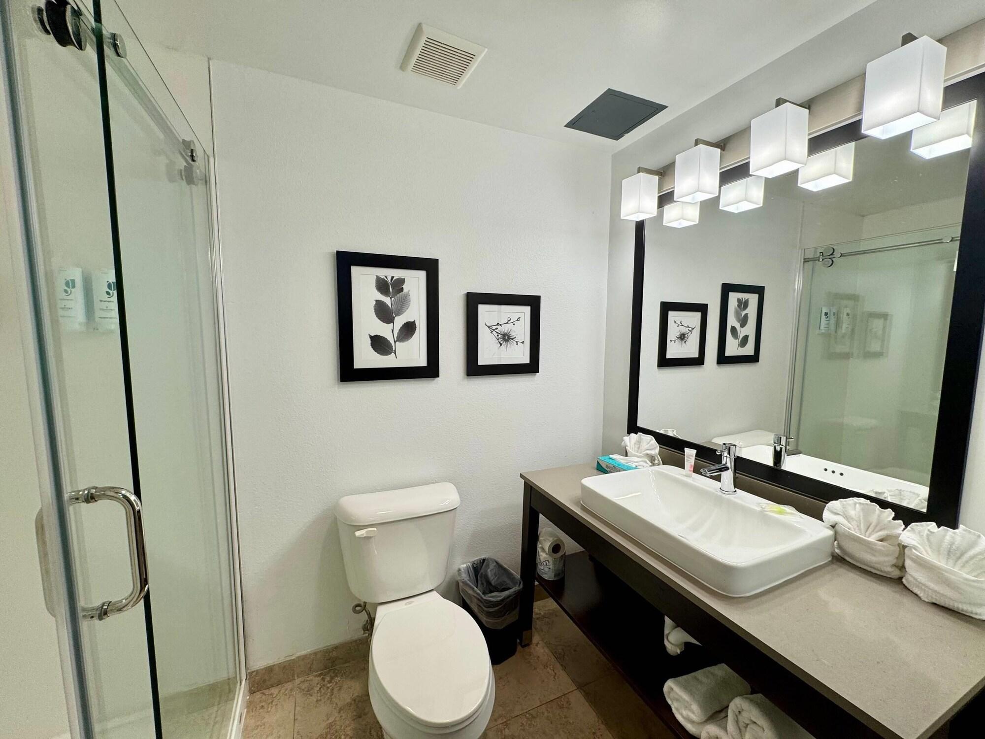 Studio, Suite, Multiple Beds