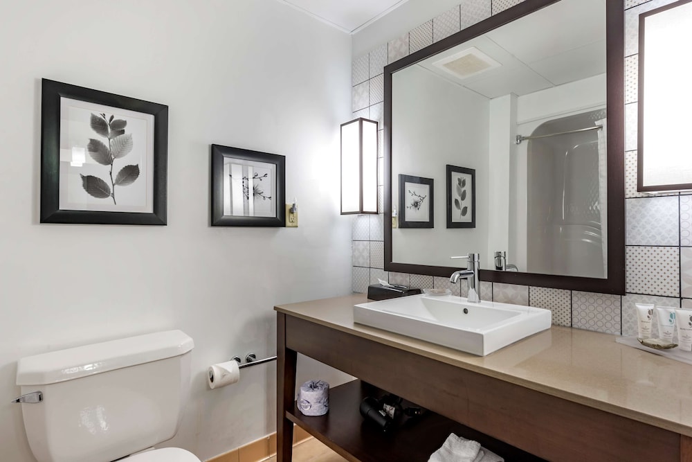 Country Inn & Suites by Radisson, Aiken South 8/39