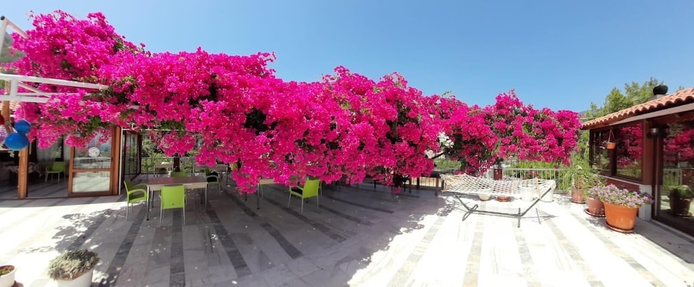 Akdeniz Pansiyon 28/31