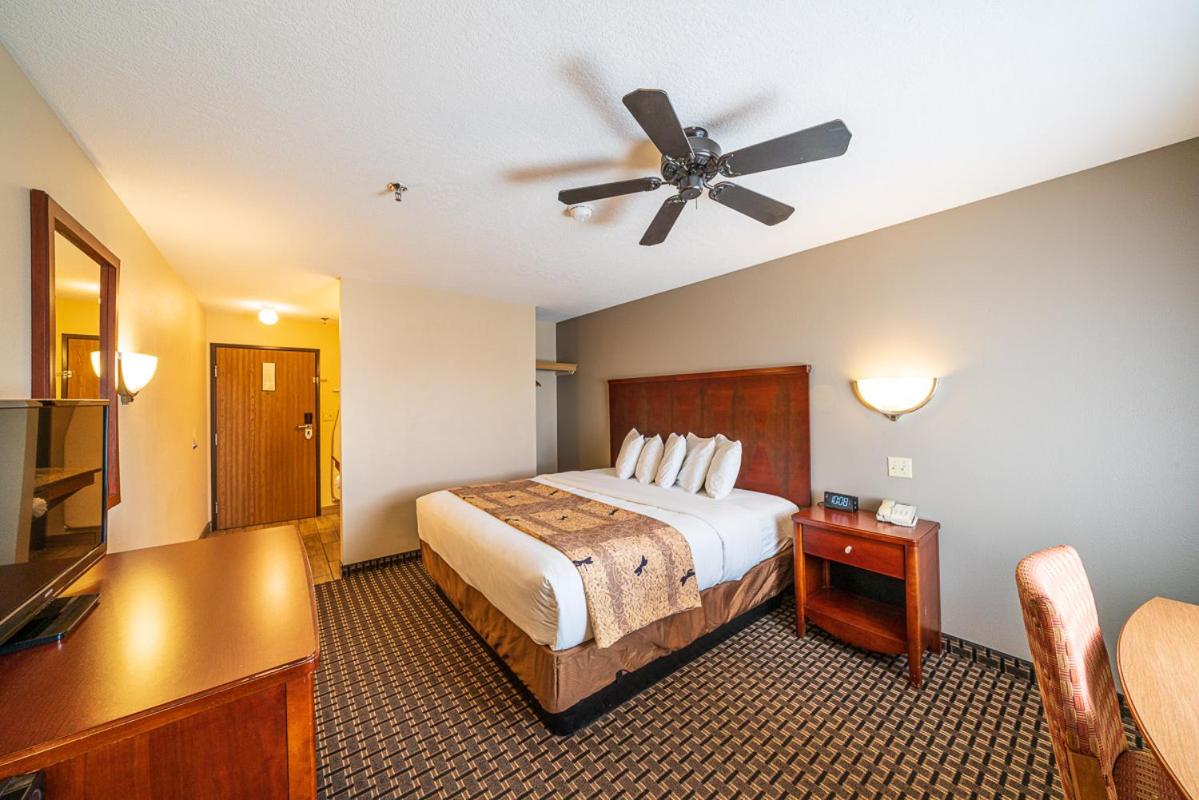 Room, King Bed