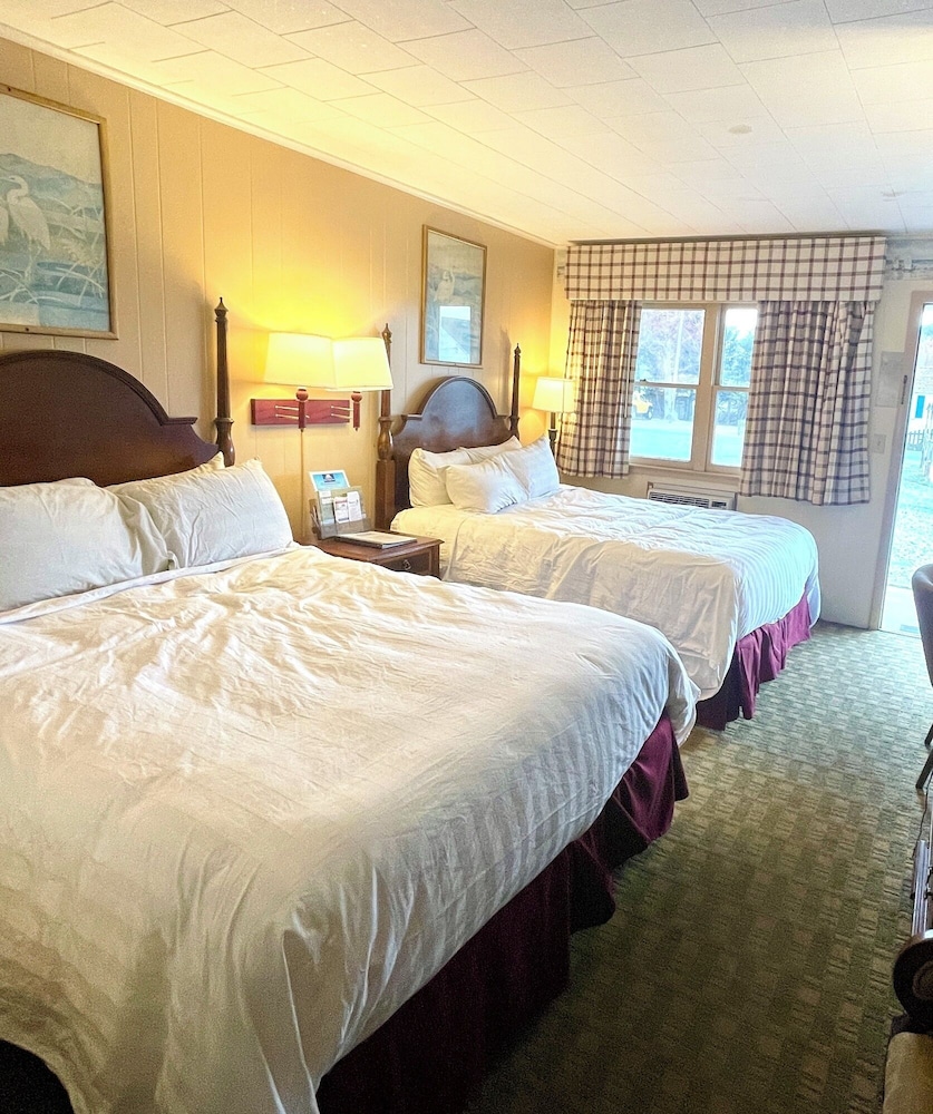 Room, Single, 2 Queen Beds