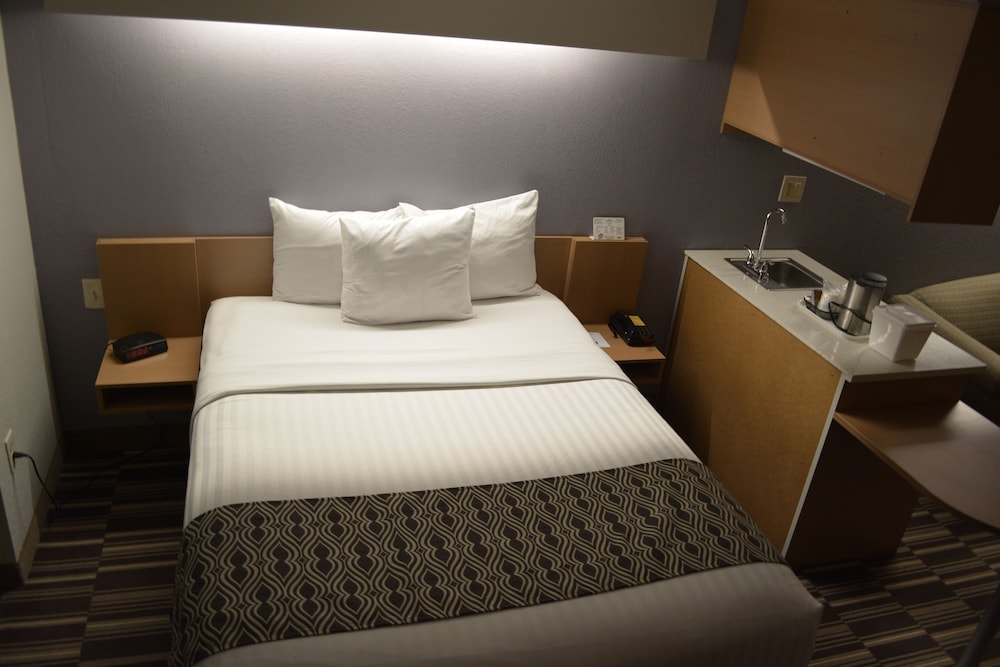 Microtel Inn & Suites by Wyndham BWI Airport Baltimore 8/40