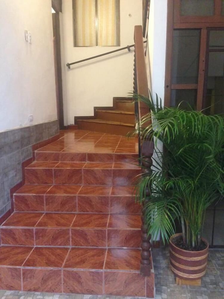 Guesthouse Nelson 3/54