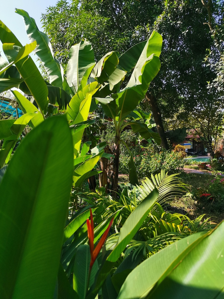 La Belle Vie Tam Coc Homestay 15/25