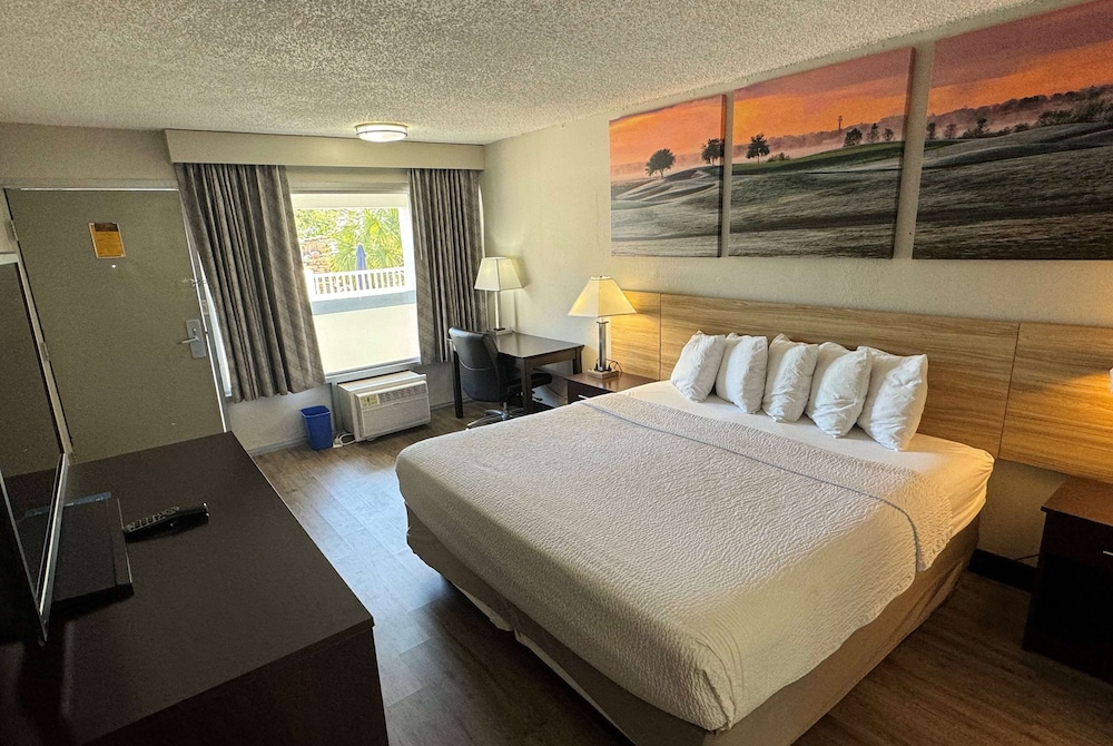 Room, King Bed, Accessible