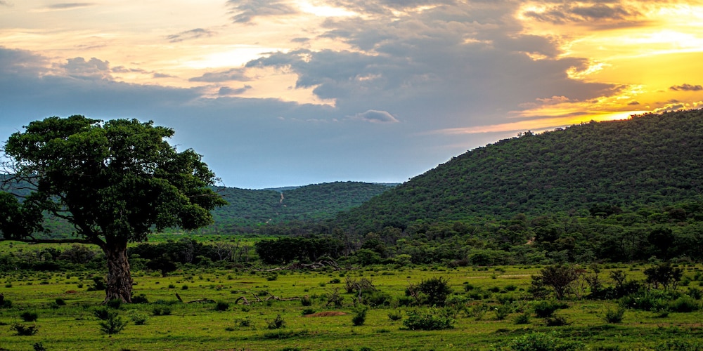 Laluka Safari Lodge 44/47