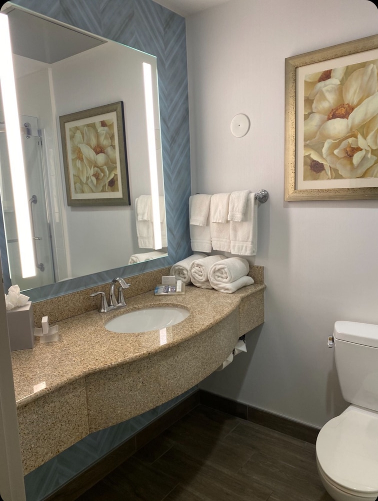 غرفة بسرير كينج مع أريكة، Hilton Garden Inn Lake Buena Vista 5/6