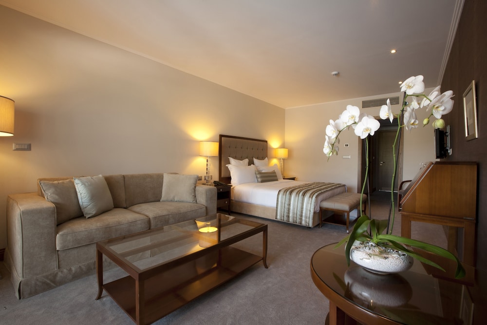 Hotel Du Lac Congress Center Spa 57/76