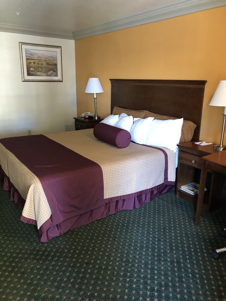 Cloverdale Wine Country Inn and Suites 10/47