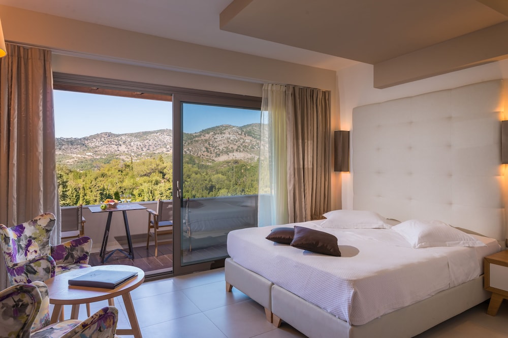 Sivota Diamond Resort & Spa 15/50