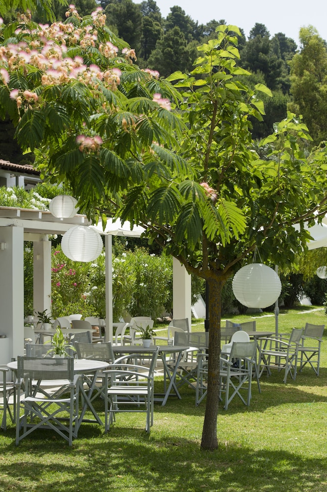 Skiathos Holidays Hotel 43/63