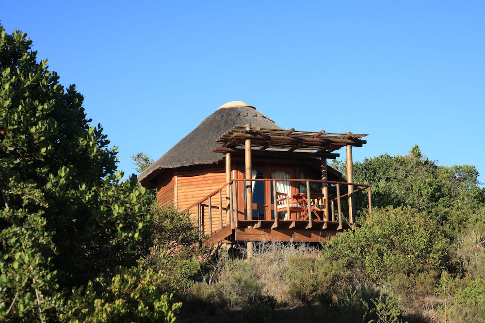 Garden Route Game Lodge 8/74