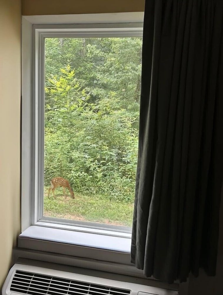 WoodSpring Suites Atlanta Airport 30/56