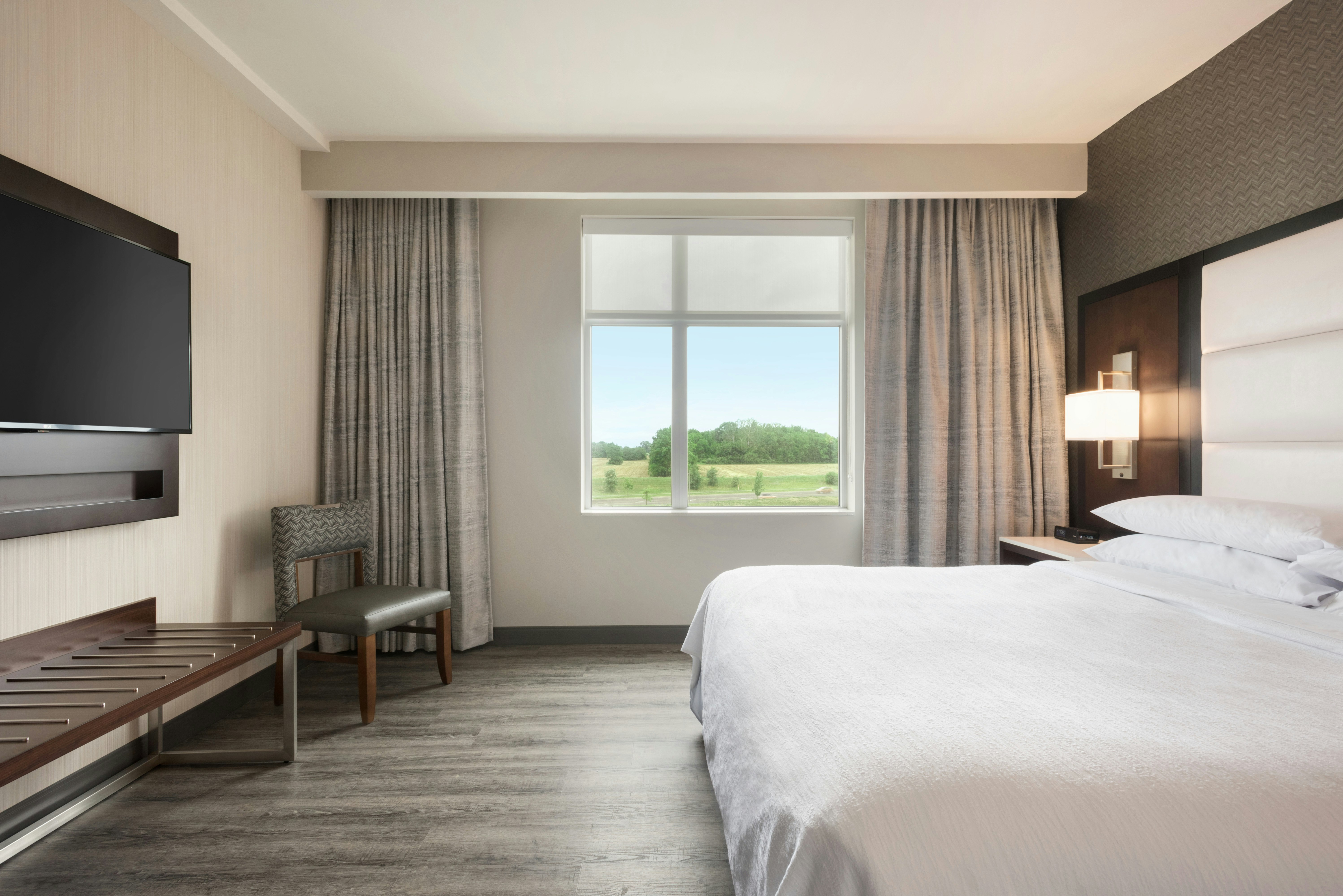 1 Bedroom, Suite, King Bed, Accessible