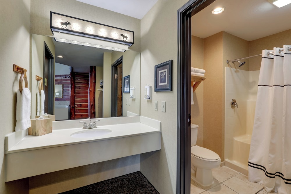 Theme, Suite, King Bed, Sofa, Jetted Tub, Stoney Creek Hotel La Crosse - Onalaska 2/2