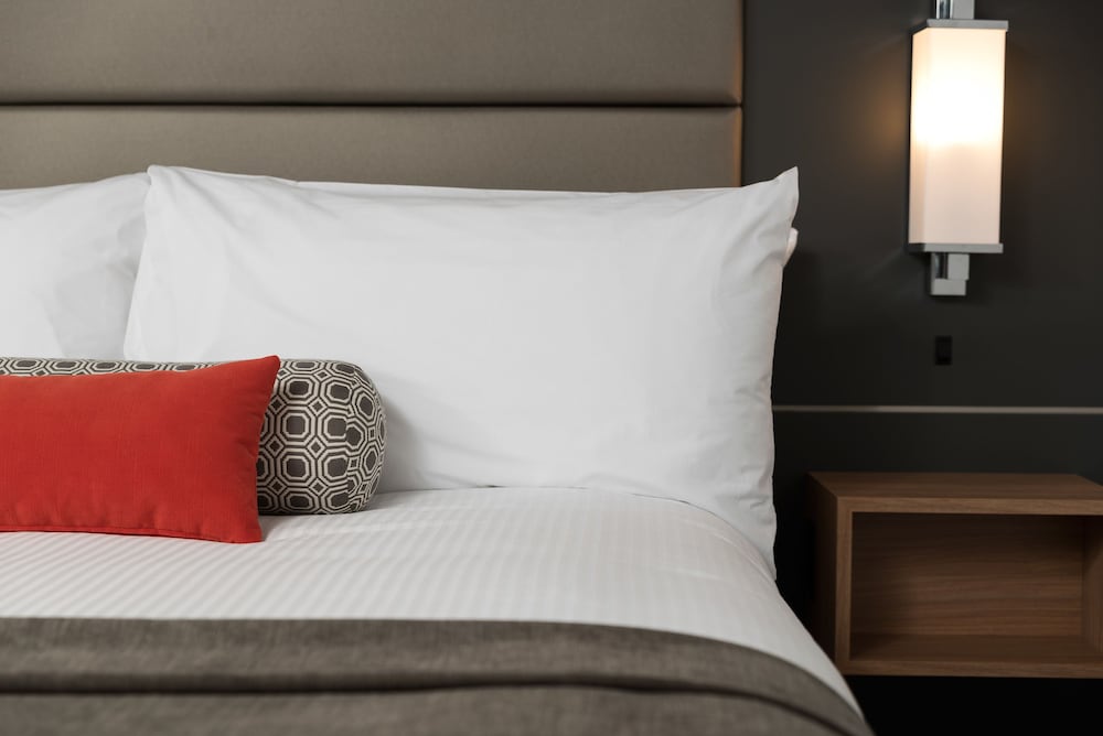 Carriage House Hotel Conference Centre 21/50