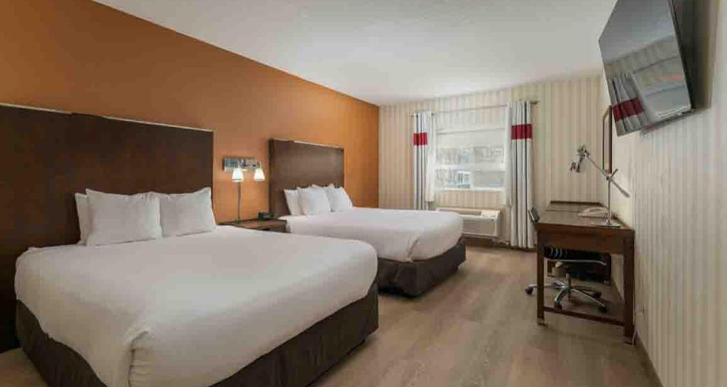 Upgrade, Mini, 2 Queen Beds, Pet Friendly, Kitchenette