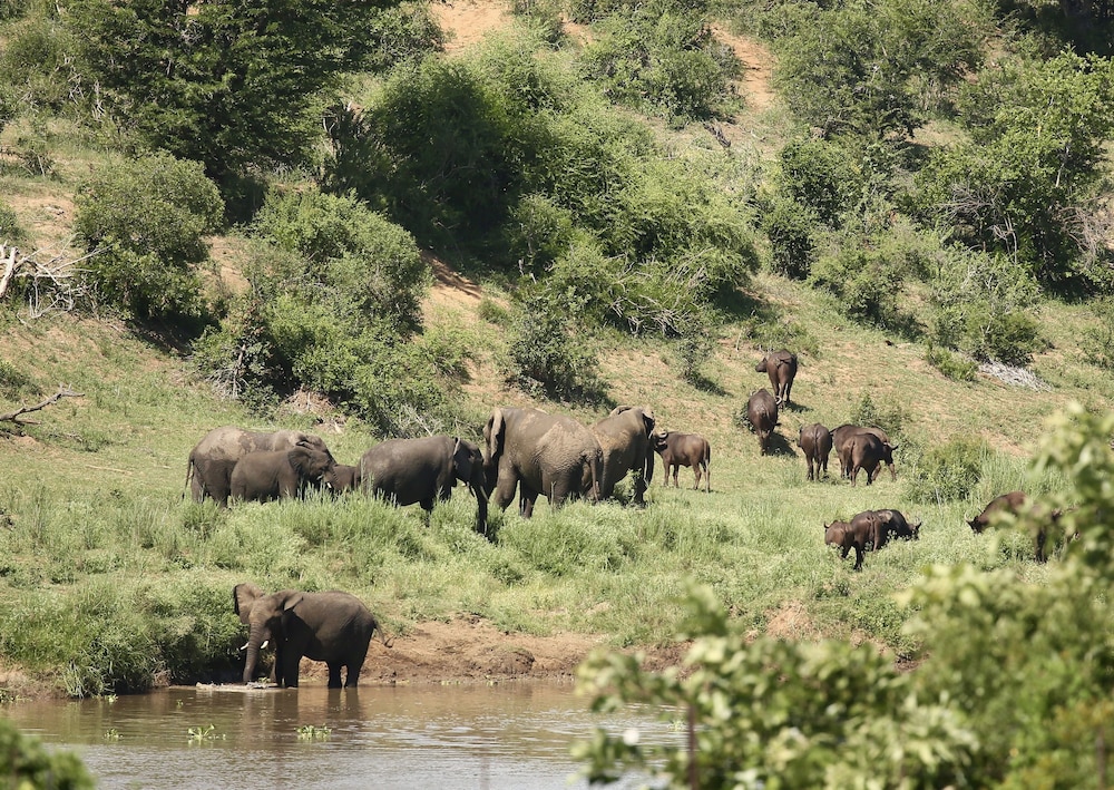 Kambaku River Lodge 47/50