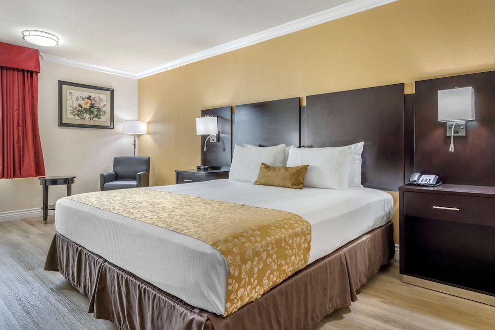 Best Western Plus South Bay Hotel 12/36