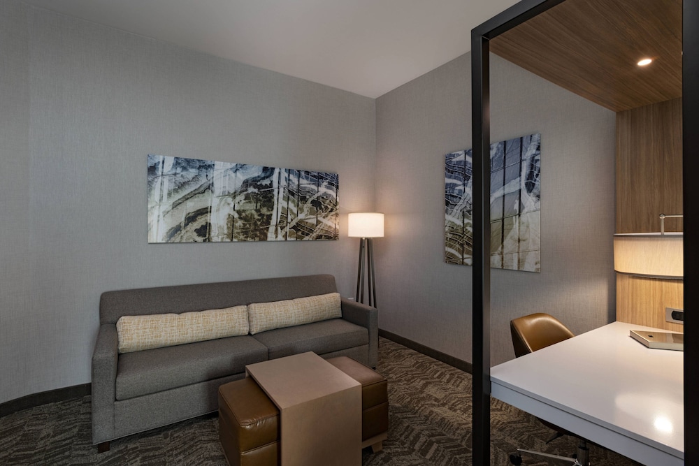 Springhill Suites By Marriott Waco 23/40