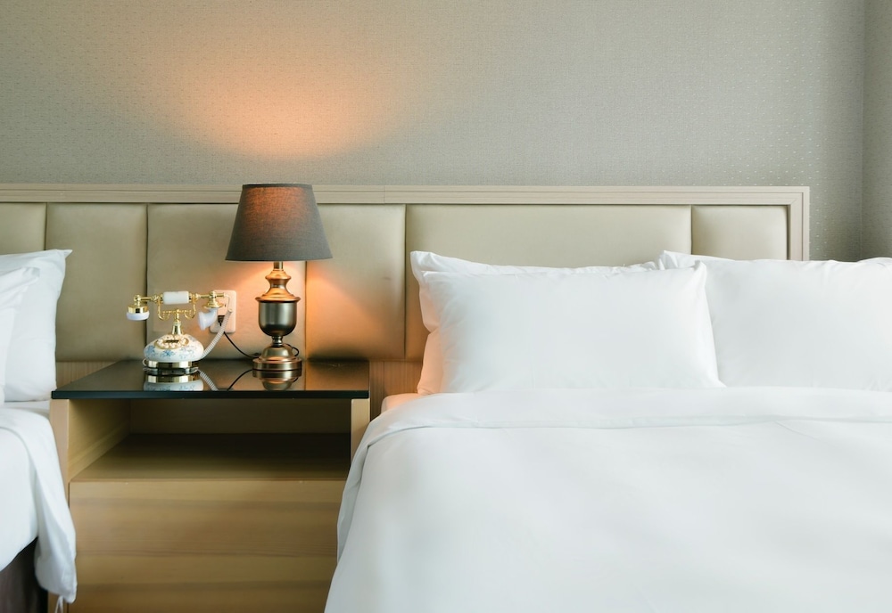 Champs Elysees Hotel 30/47
