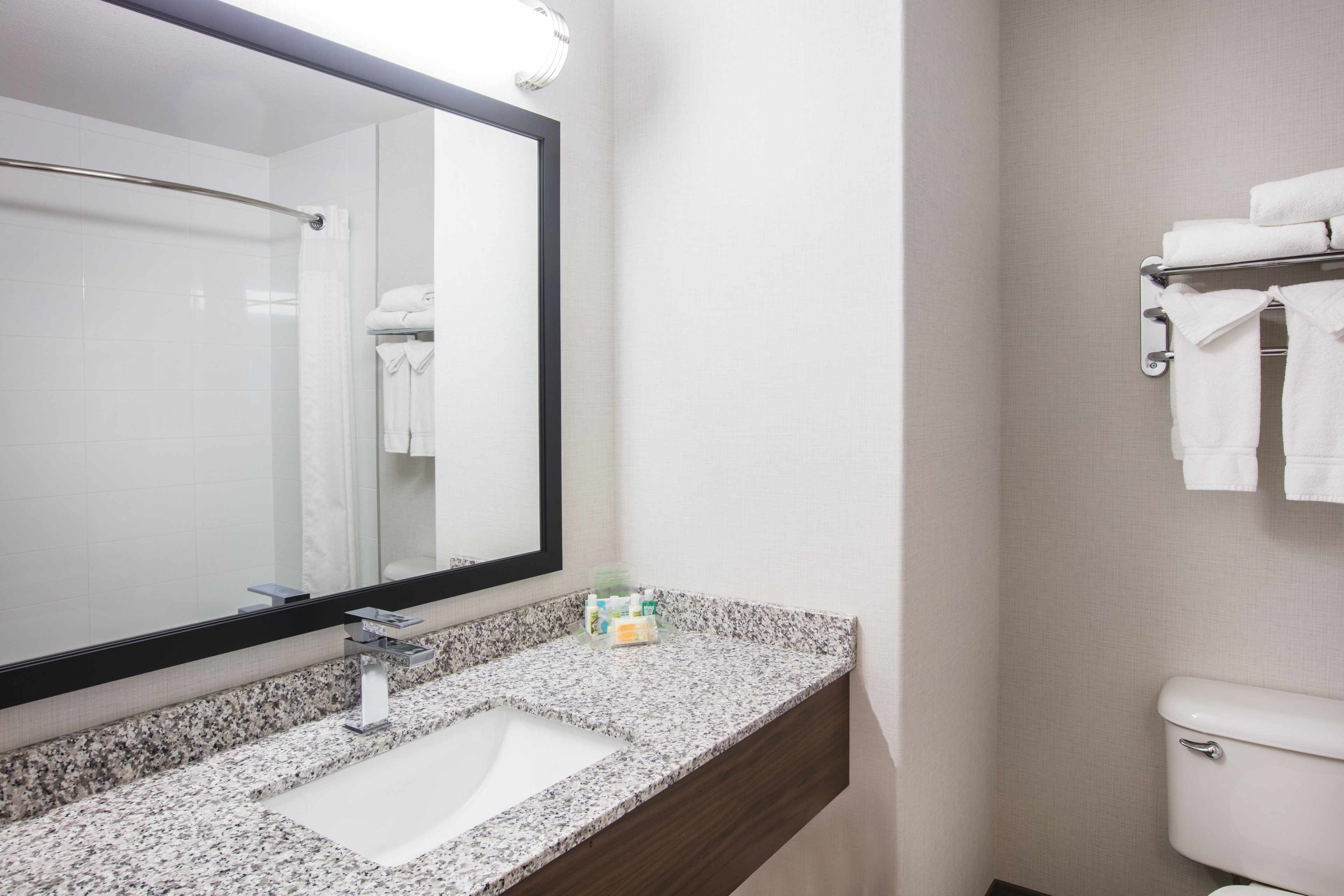 Holiday Inn Suites Grande Prairie Conference Ctr 39/41