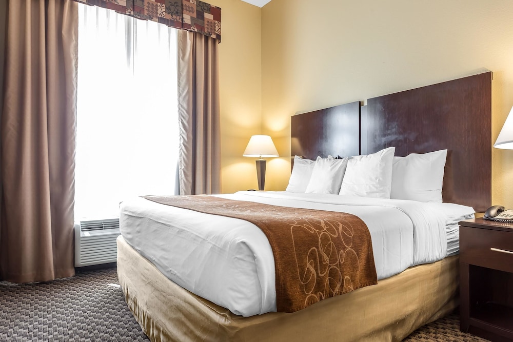 Comfort Suites West of The Ashley 8/46