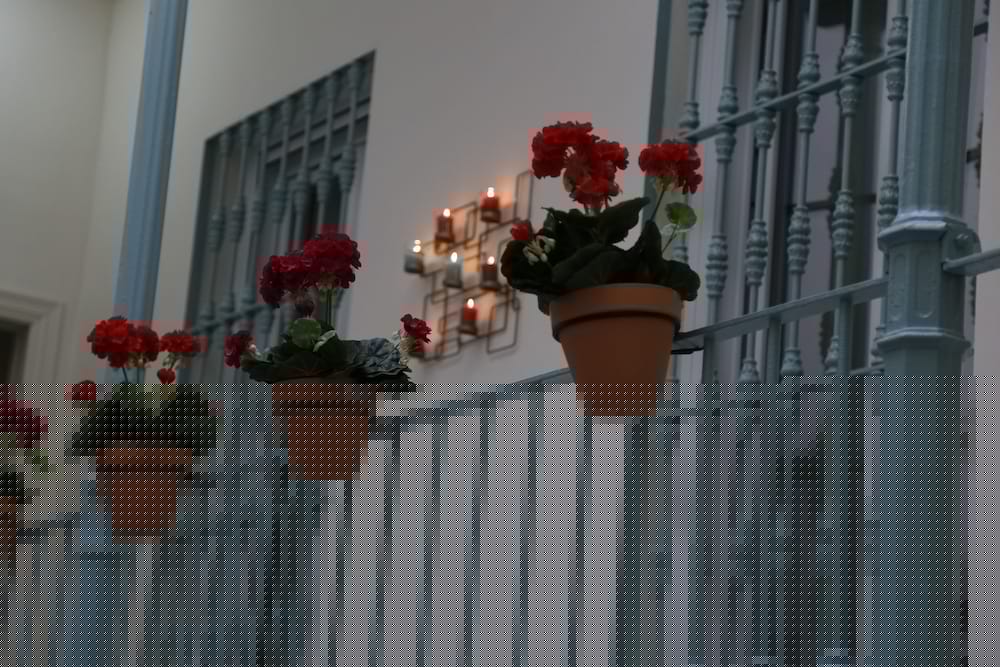 Hostal Jardin De La Alameda 44/50