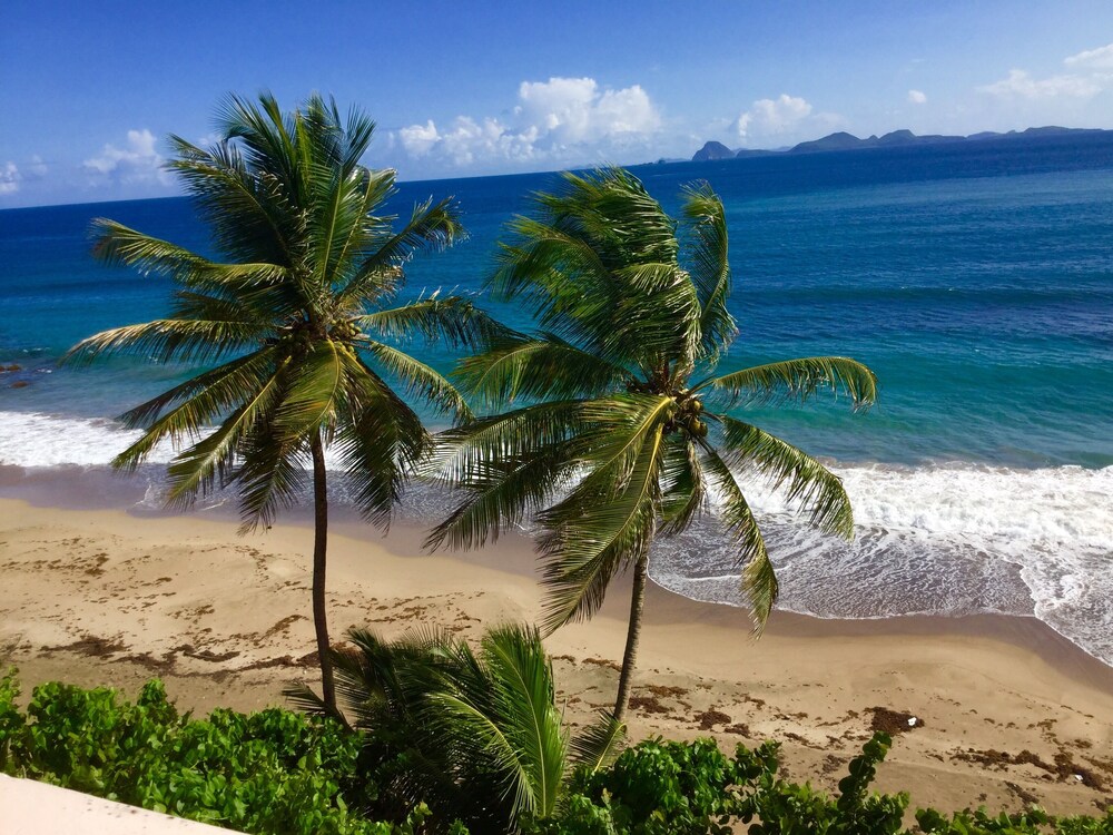 Petite Anse Hotel 43/49