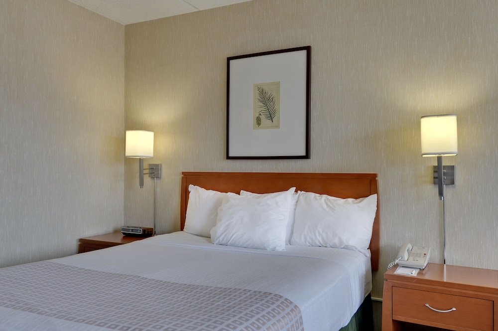 Vagabond Inn Los Angeles-USC photo2