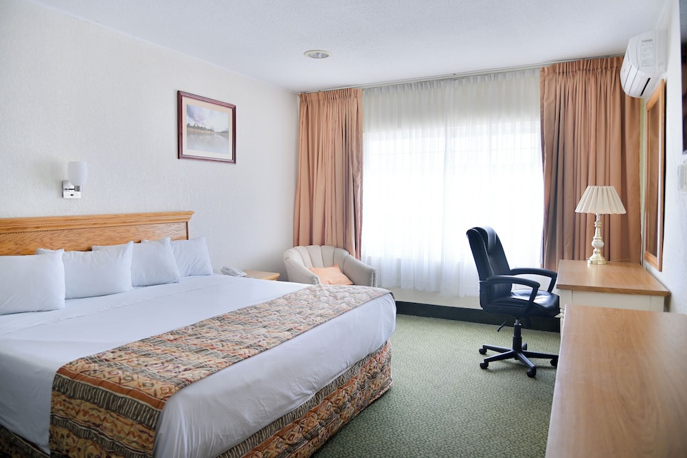 Sicomoro Hotel 15/50