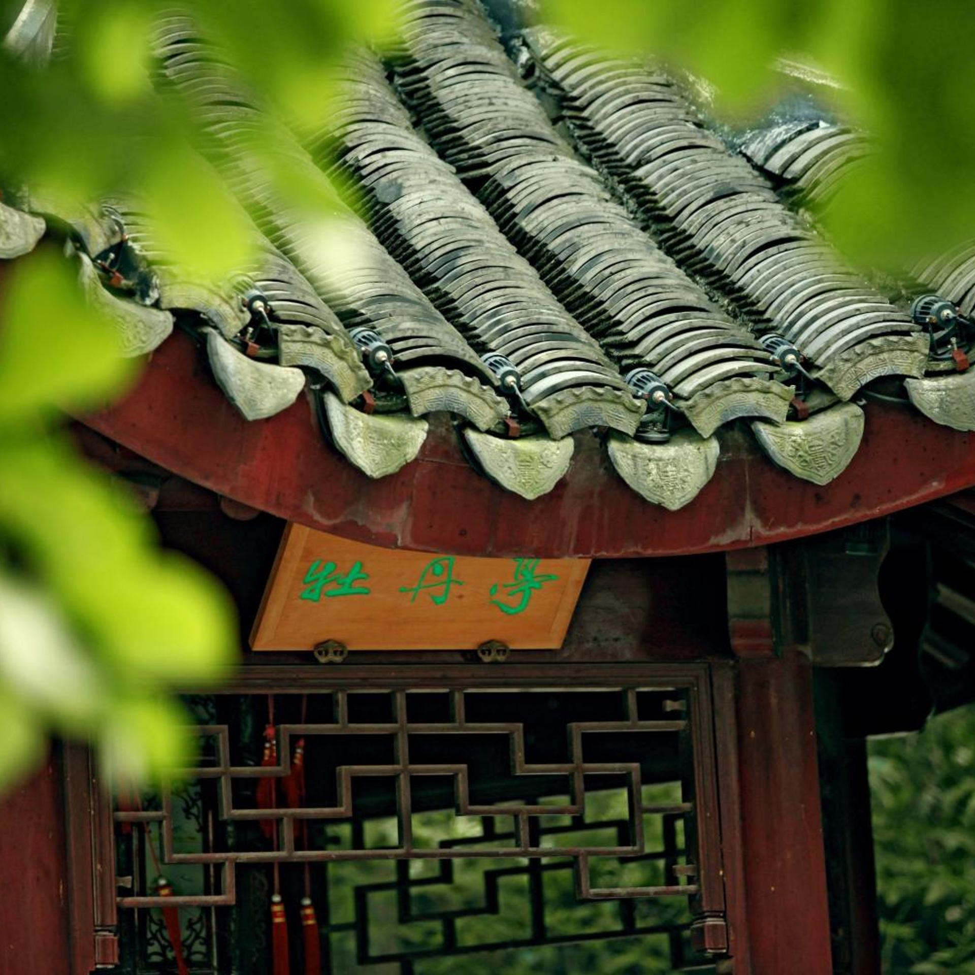 Garden Suzhou 7/57