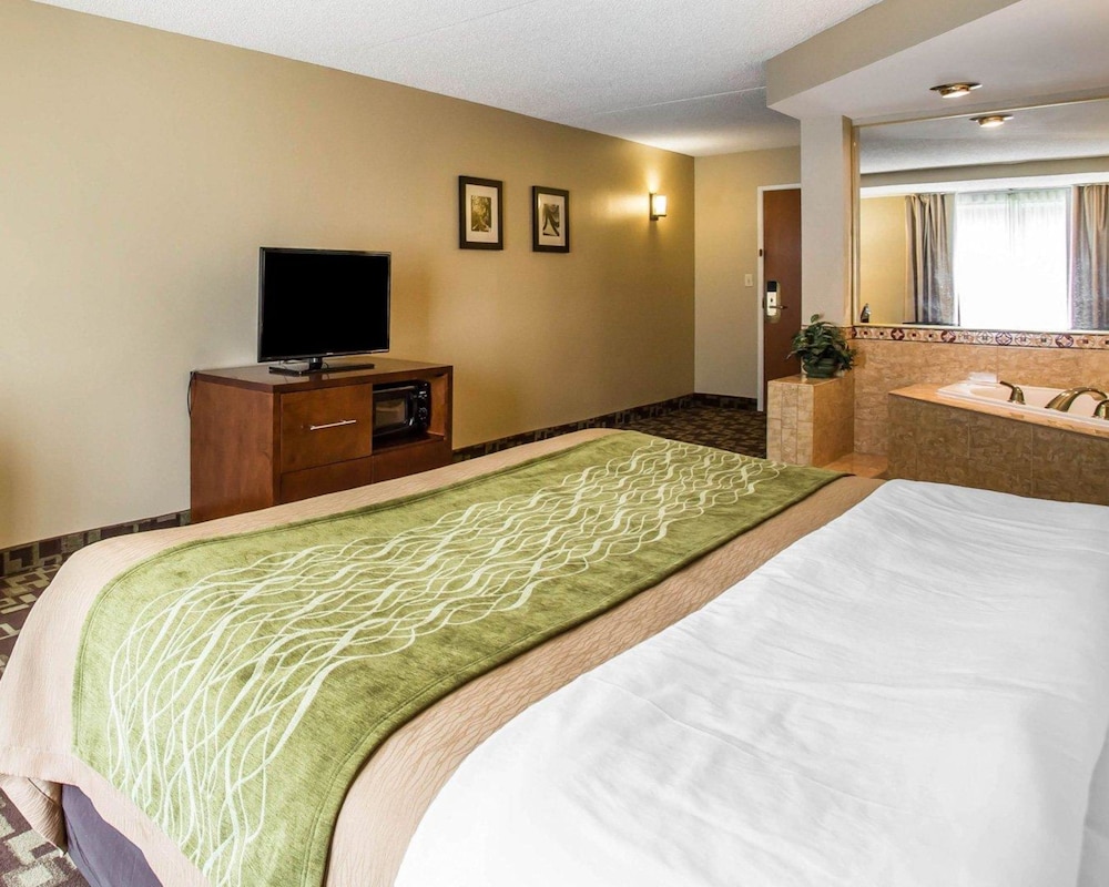 Comfort Inn & Suites Walterboro I-95 18/63