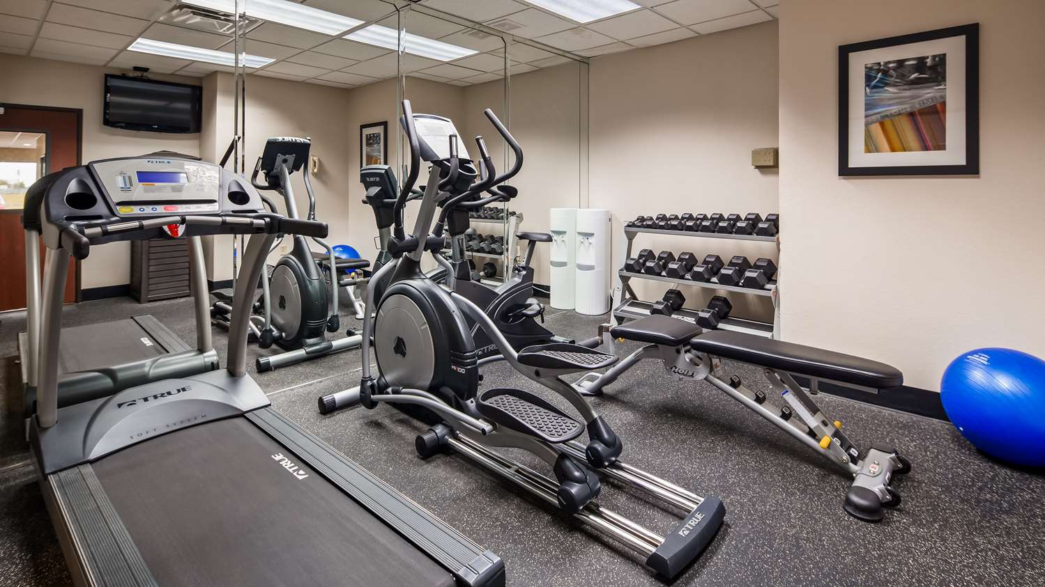 Best Western Plus Memorial Inn and Suites 3/9