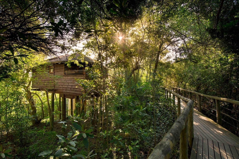 Tsala Treetop Lodge 41/50