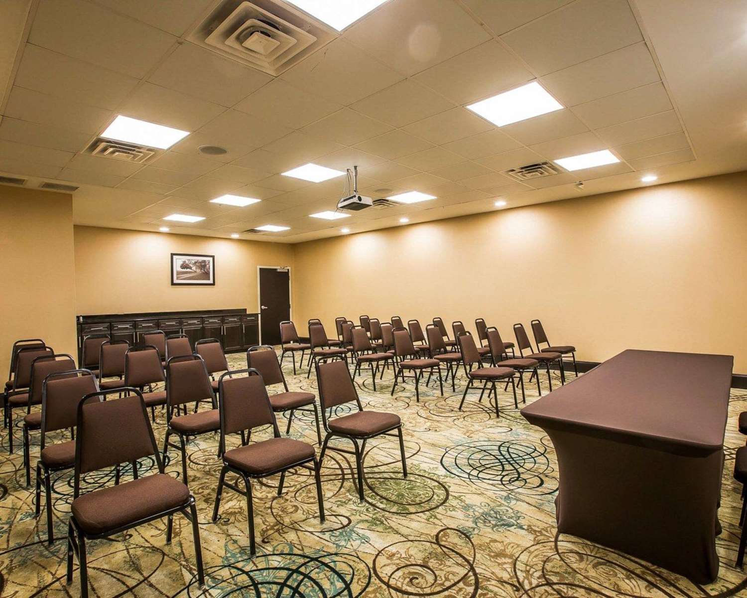 Comfort Suites Simpsonville 28/39