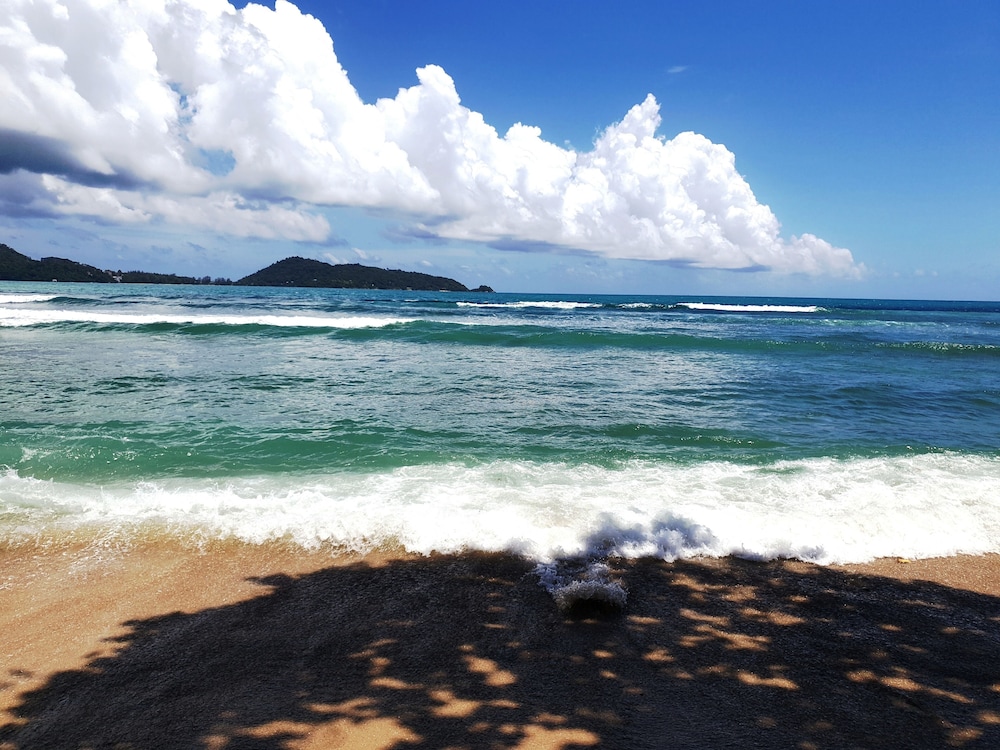 Oceanfront Beach Resort And Spa 39/50