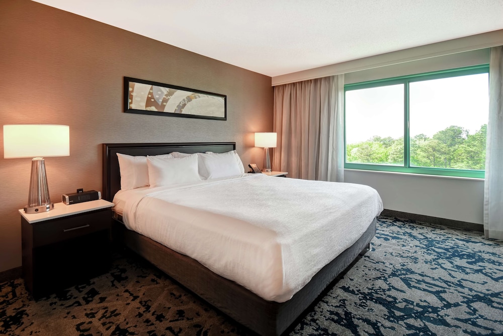 Embassy Suites by Hilton Raleigh Durham Research Triangle 18/71