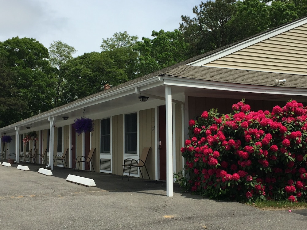 Viking Shores Motor Inn 2/35