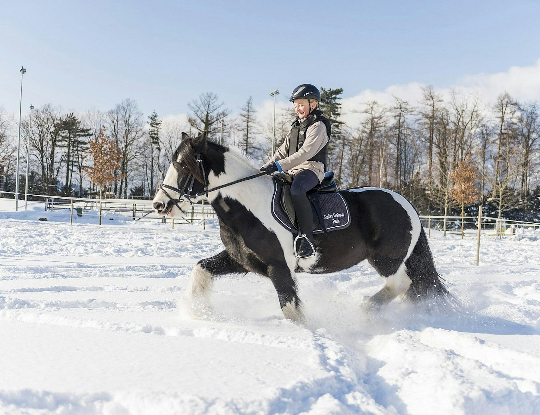 Swiss Holiday Park Resort 12/29